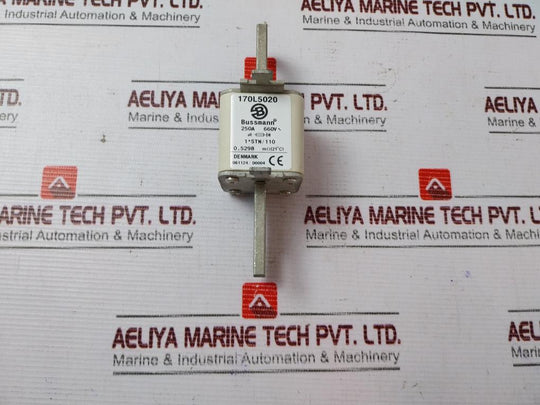 Bussmann 170L5020 High Speed Square Body Fuse 250A 660V