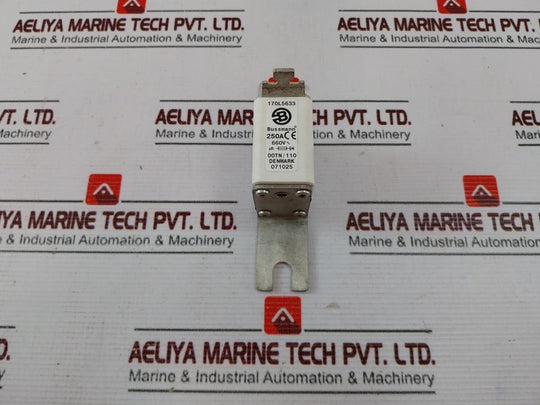 Bussmann 170L5633 Fuse 250A 660V