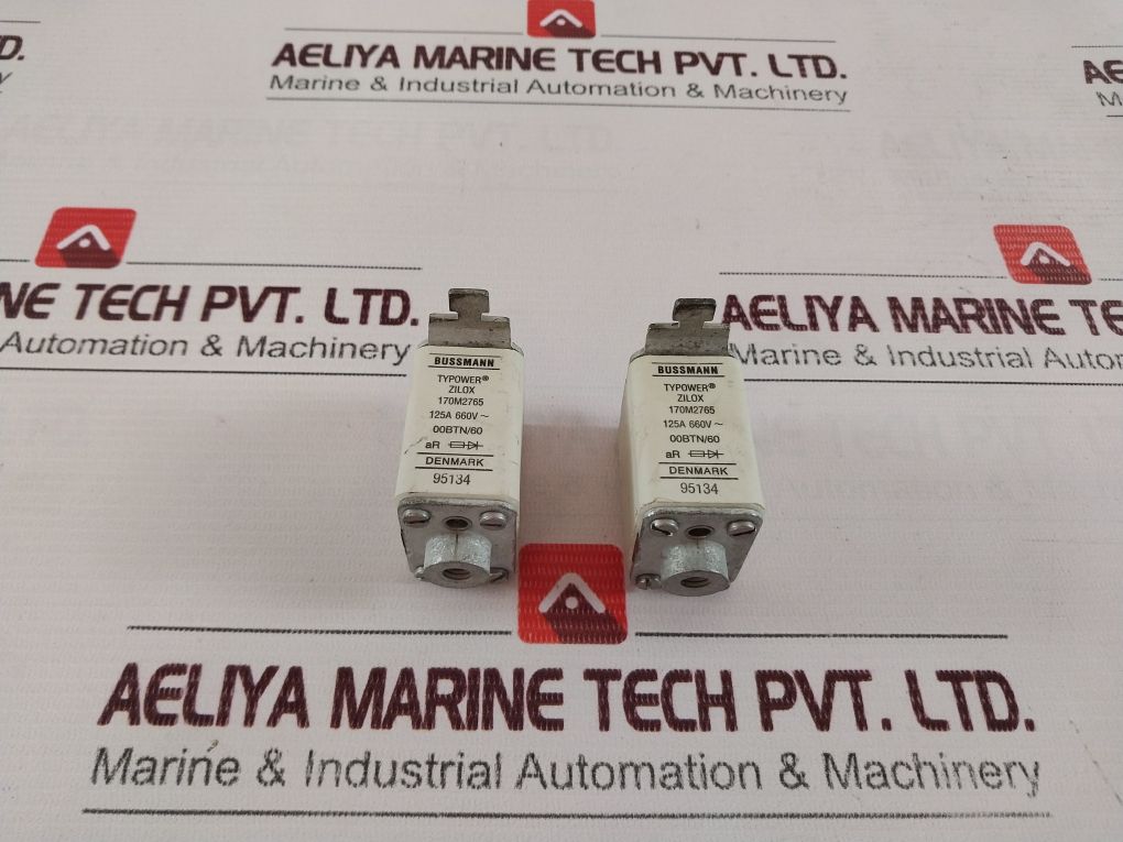 Bussmann 170M2765