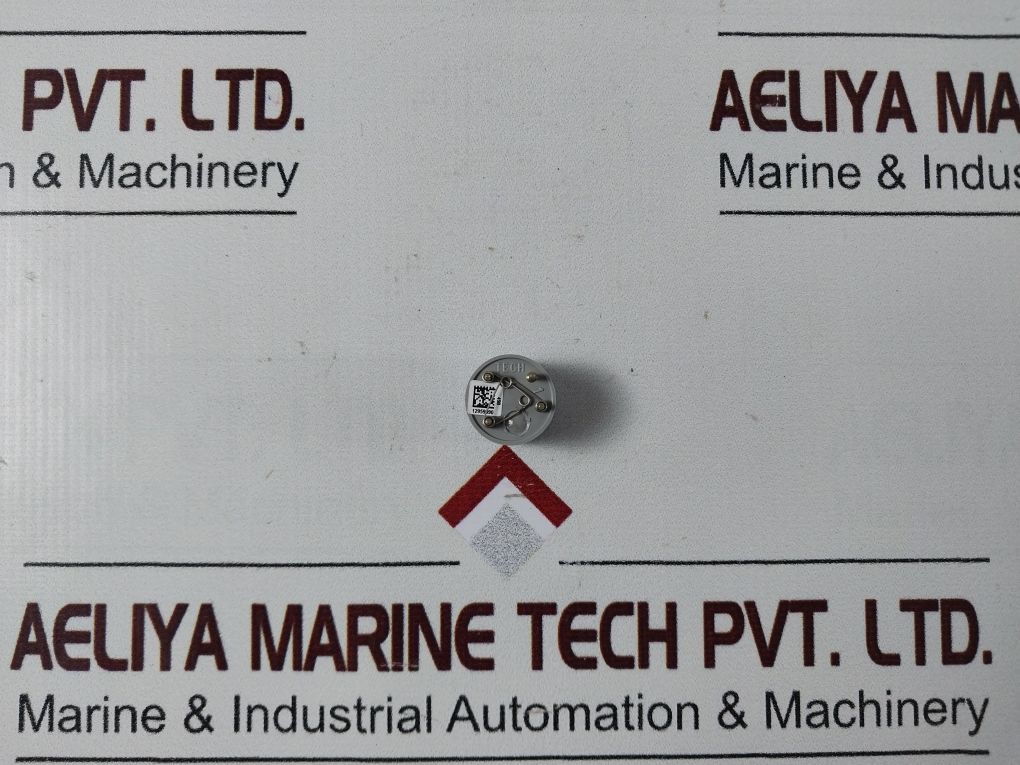 Bw Technologies D4-rhm04 Co/H2S Gas Sensor