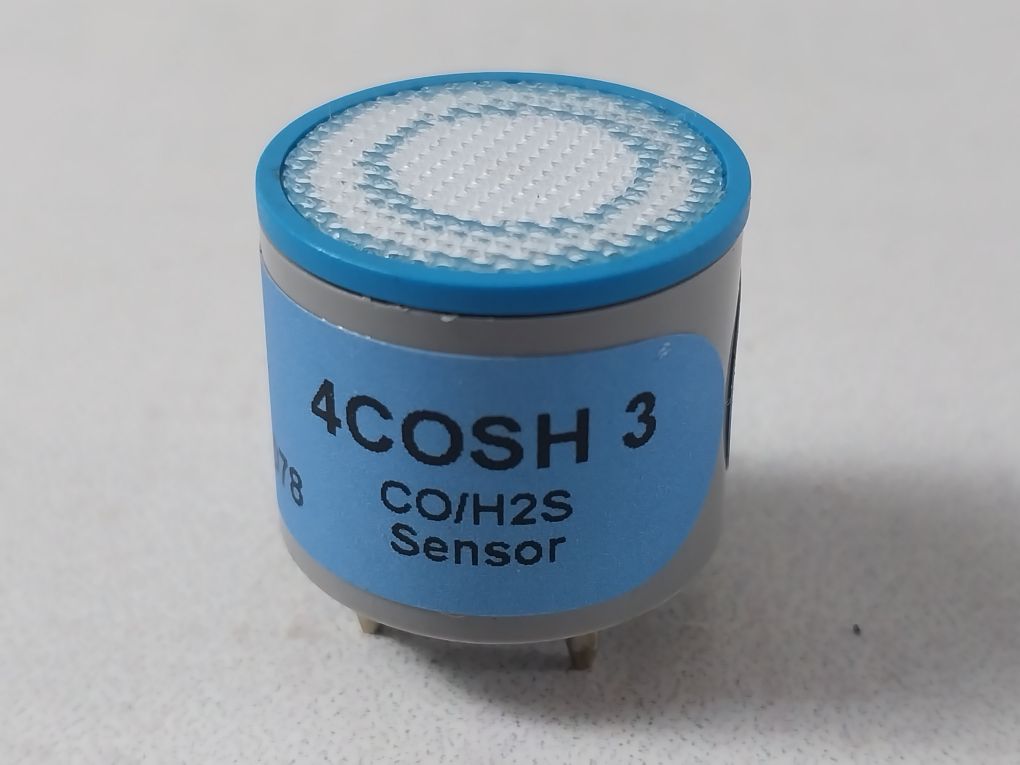 Bw Technologies D4-rhm04 Co/H2S Gas Sensor