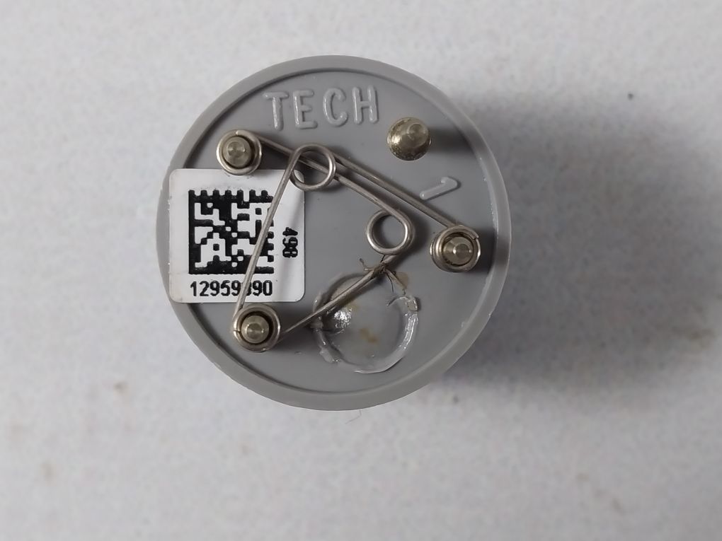 Bw Technologies D4-rhm04 Co/H2S Gas Sensor