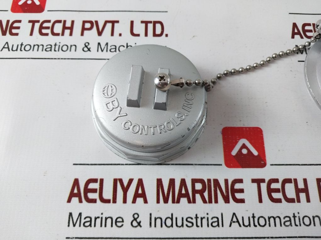 By Controls Thermometer 0~150°C