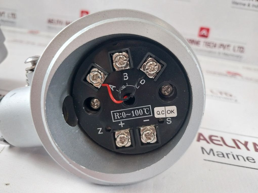By Controls Pt 100 Temperature Sensor 0~100° C