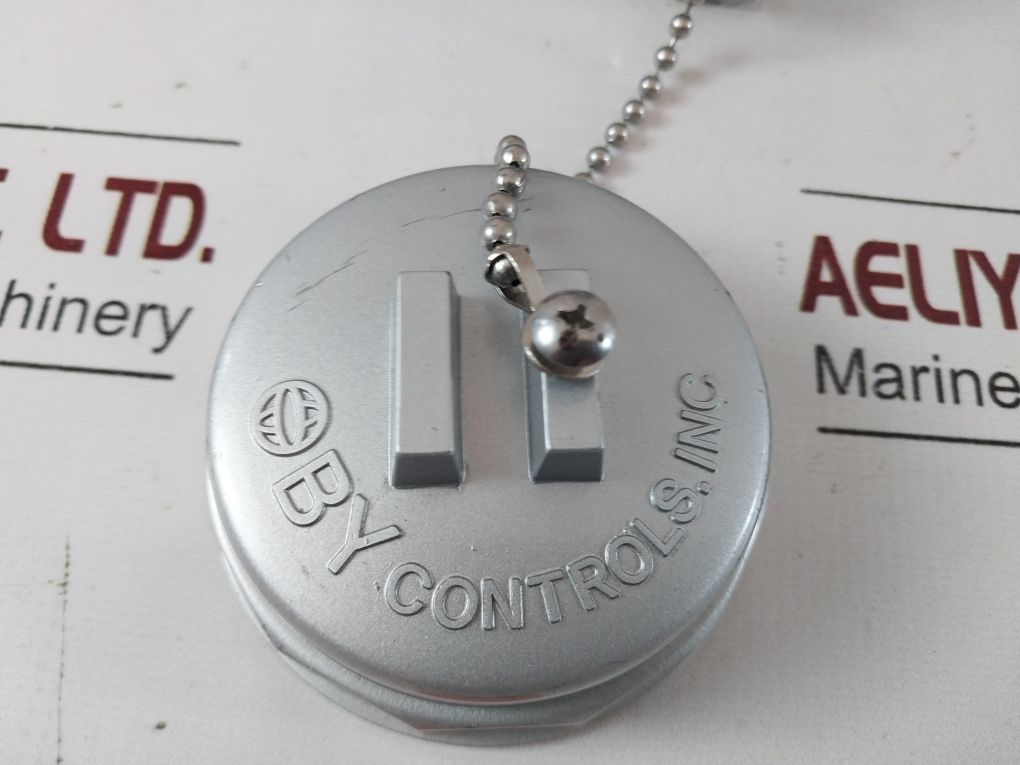 By Controls Pt 100 Temperature Sensor 0~100° C
