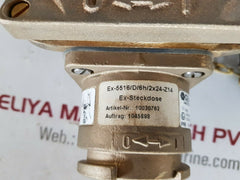Wiska 5516/d/2a brass socket Ip66