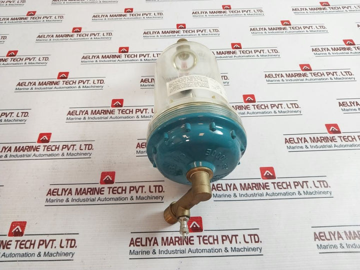 Calpeda Ar 1000E Automatic Air Feeder