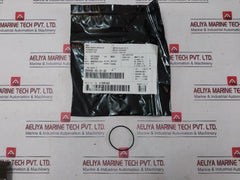Cameron 2020810-01-99 Solenoid Valve Coil Repair Kit