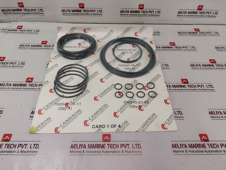 Cameron 2163135-01 Bonnets Seal Repair Kit C143-644356-02