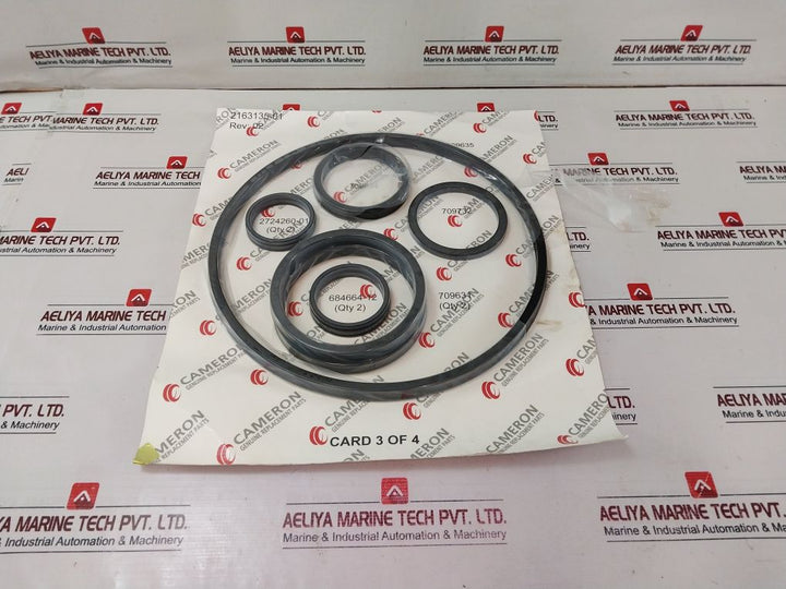 Cameron 2163135-01 Bonnets Seal Repair Kit C143-644356-02