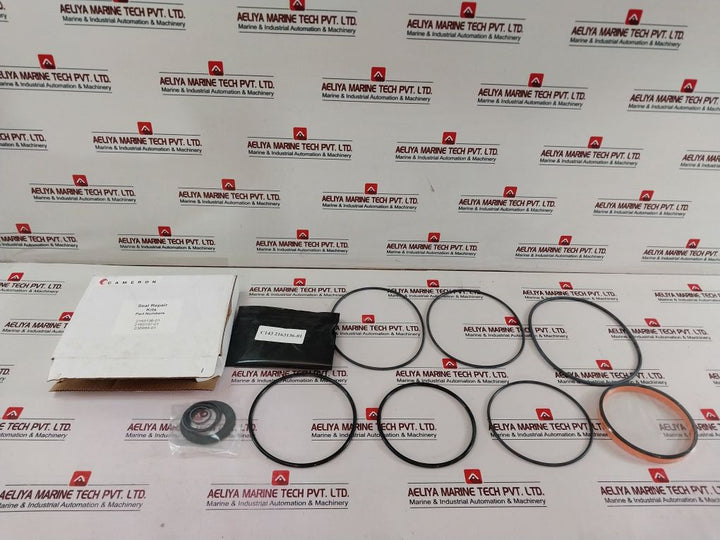 Cameron 2163135-01 Bonnets Seal Repair Kit C143-644356-02