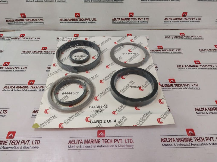 Cameron 2163135-01 Bonnets Seal Repair Kit C143-644356-02