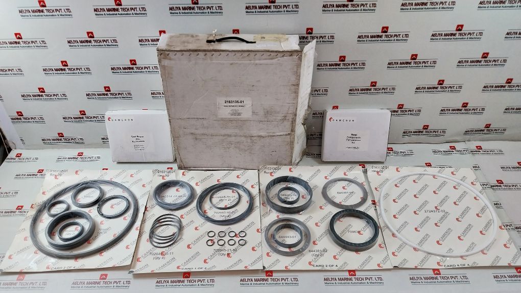Cameron 2163135-01 Seal Repair Kit