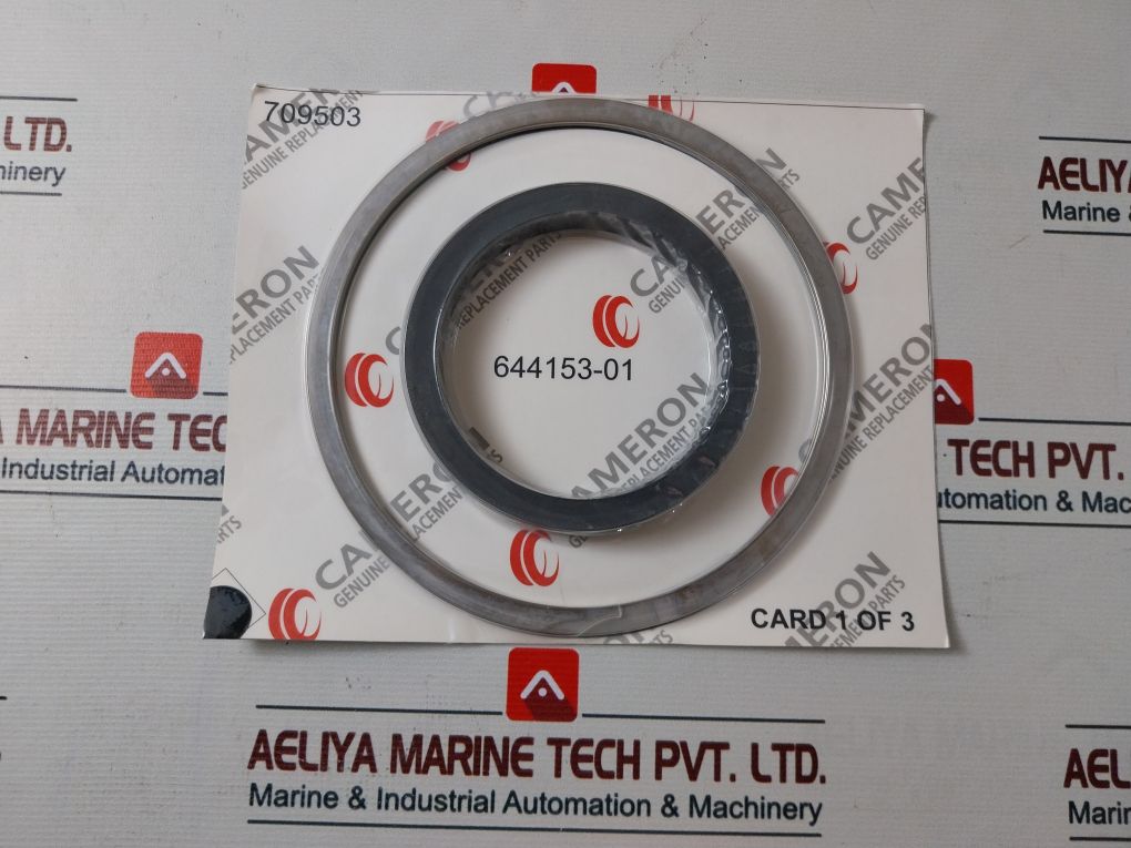 Cameron 2163135-01 Seal Repair Kit