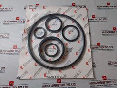 Cameron 2163135-01 Seal Repair Kit