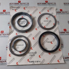 Cameron 2163135-01 Seal Repair Kit