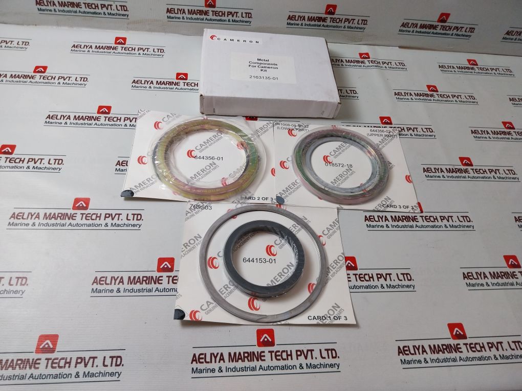 Cameron 2163135-01 Seal Repair Kit