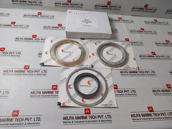 Cameron 2163135-01 Seal Repair Kit
