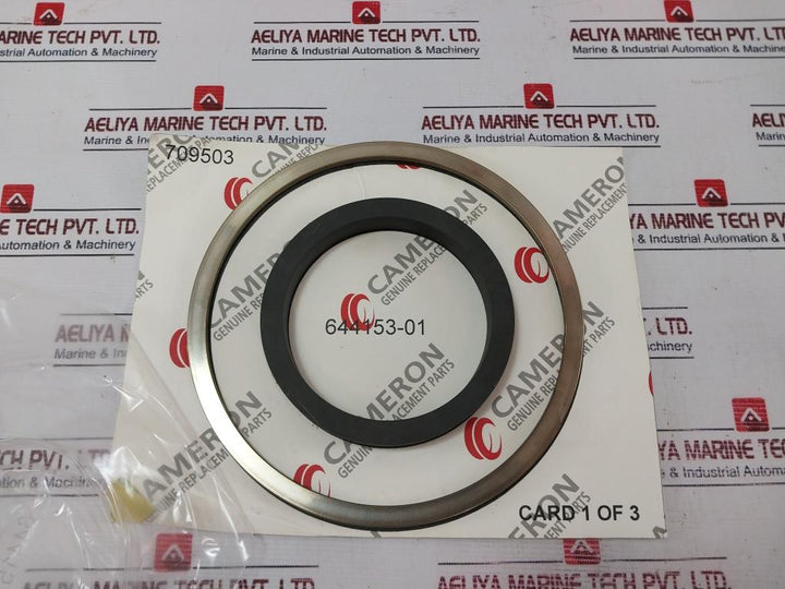 Cameron 2163135-01 Seal Repair Set C143-644356-01