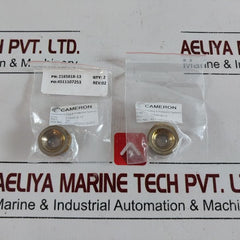 Cameron 2185188-31-99 Drg Valve Repair Kit