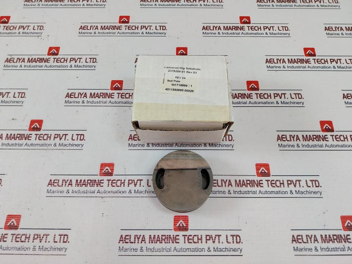 Cameron 2185610-04-99 Valve For 3/4 Inch Repair Kit