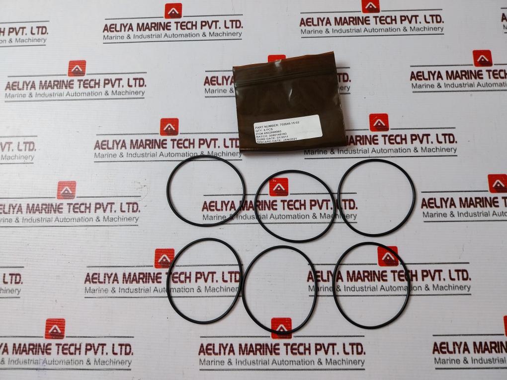 Cameron 2185611-02-99 Repair Kit