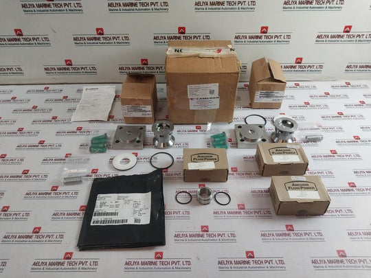 Cameron 2275321-04-99 Double Check Valve Repair Kit Rev 01