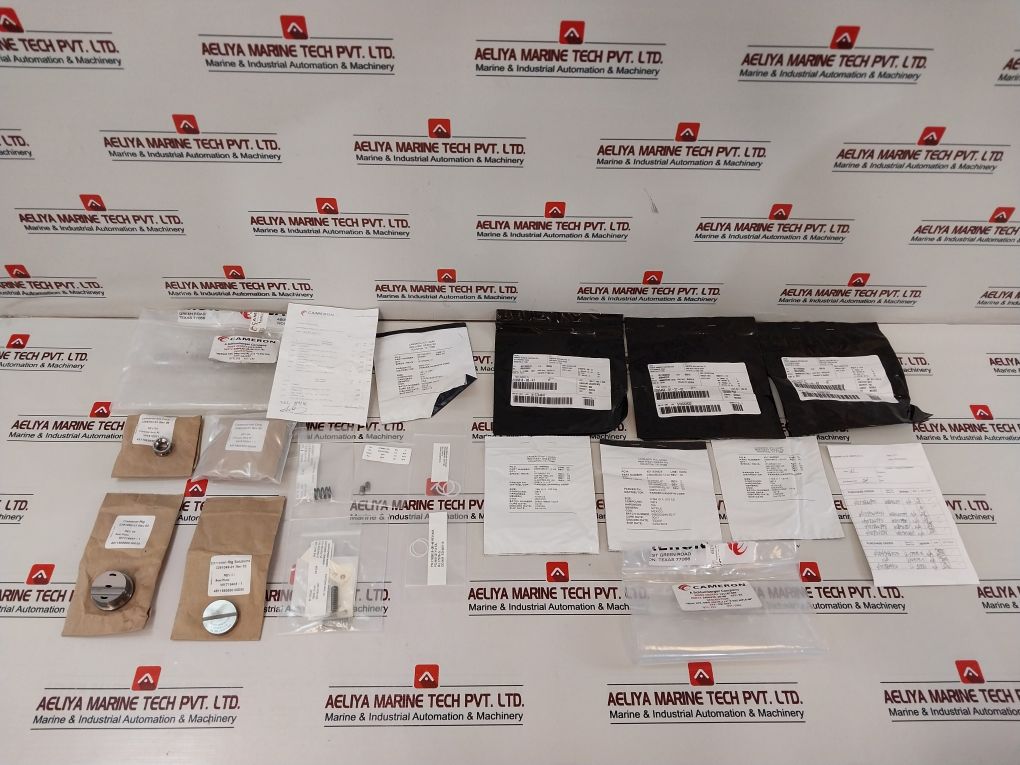 Cameron 2406436-28-99 Valve Repair Kit 2406436-28-88