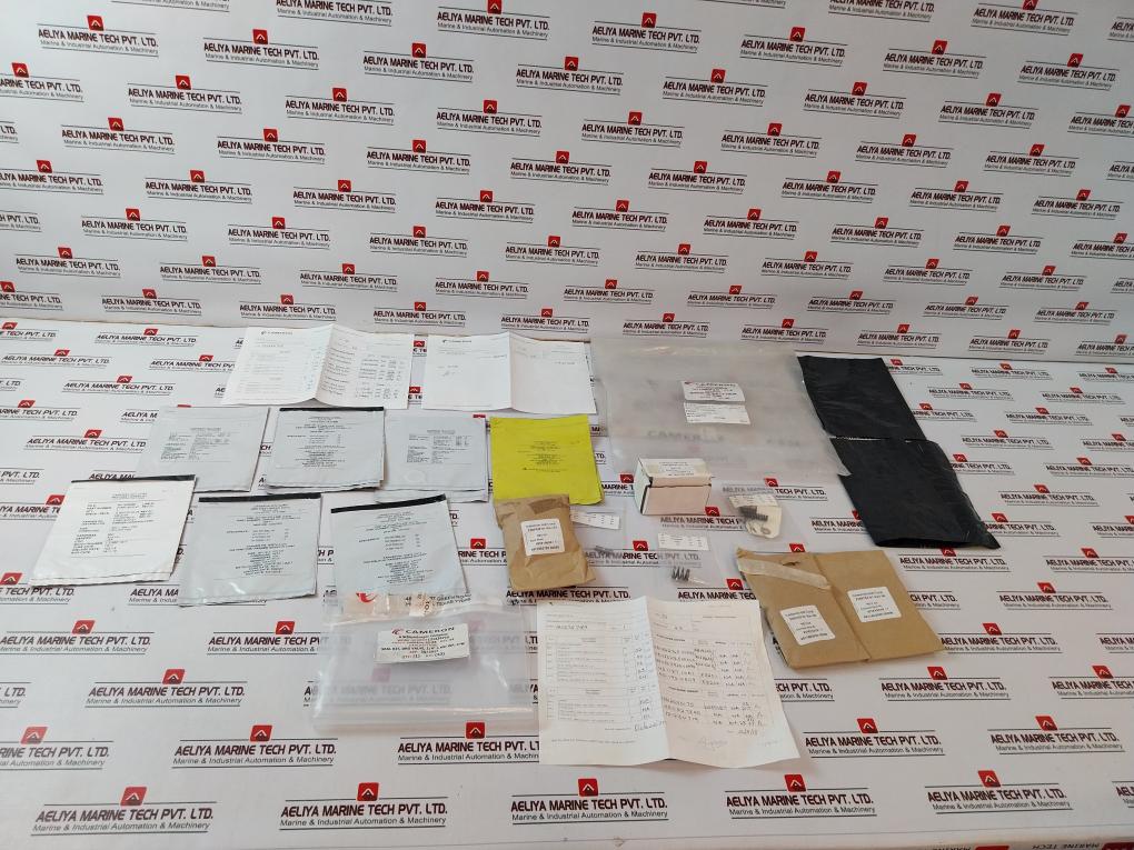Cameron 2406436-28-99  W18102181 Seal Plate Drg Valve Repair Kit
