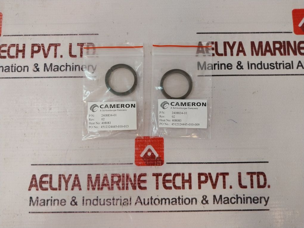 Cameron 2408830-24-01-99 Valve Repair Kit 2408831-01