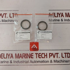 Cameron 2408830-24-01-99 Valve Repair Kit 2408831-01