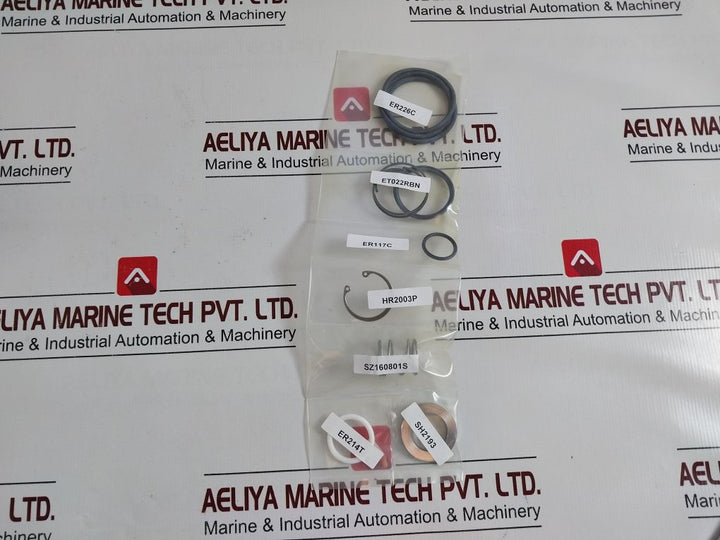 Cameron 2786056-17-99 Valve Repair Kit