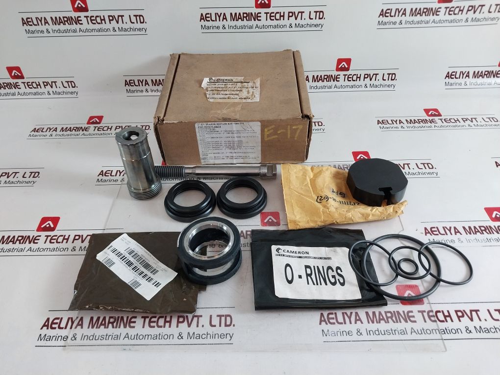 Cameron J025177-10274 Gate Valve Repair Kit – Aeliya Marine Tech