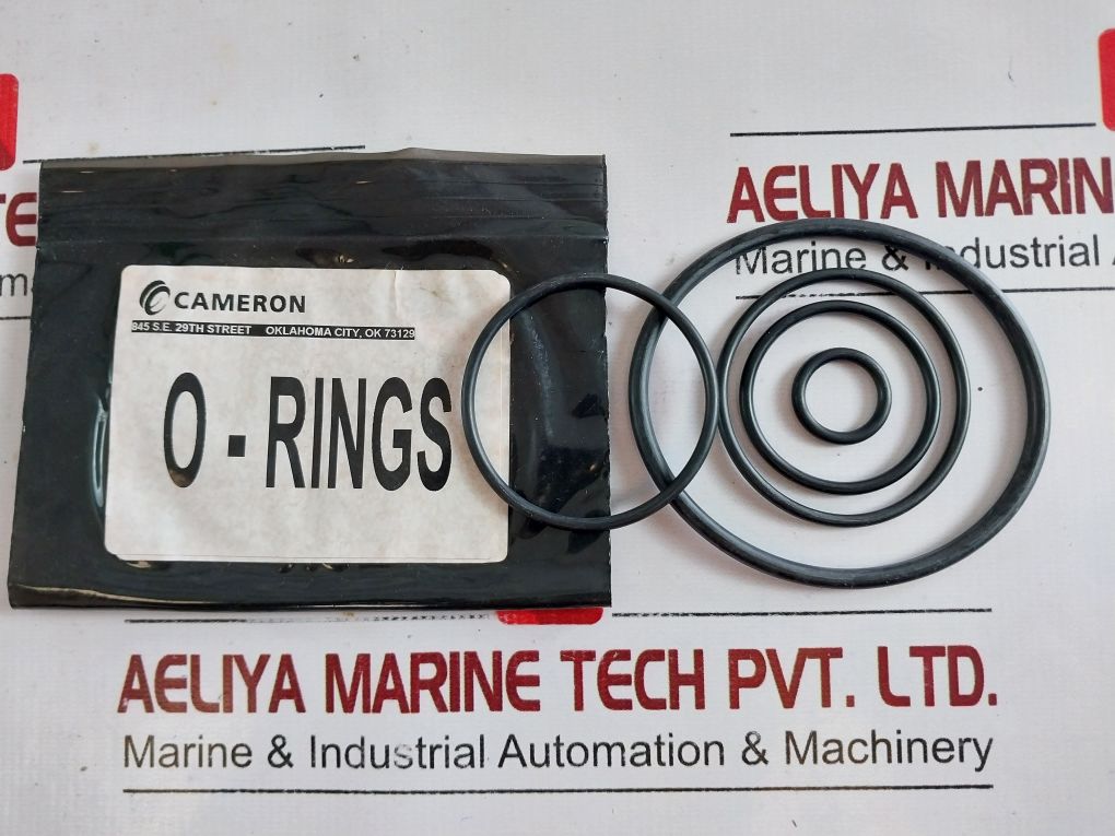 Cameron J025177-10274 Gate Valve Repair Kit