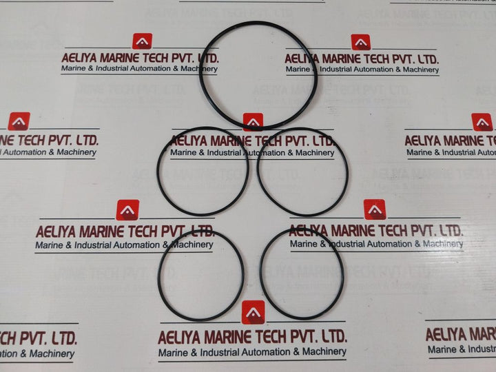 Cameron Wkm20672440443 Stem Bearing Seal Cover Plate O-ring Service Kit