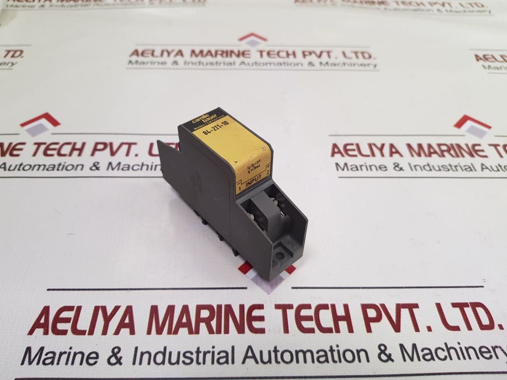 Camile Bauer 84-2I1-10 Passive Dc Signal Isolator