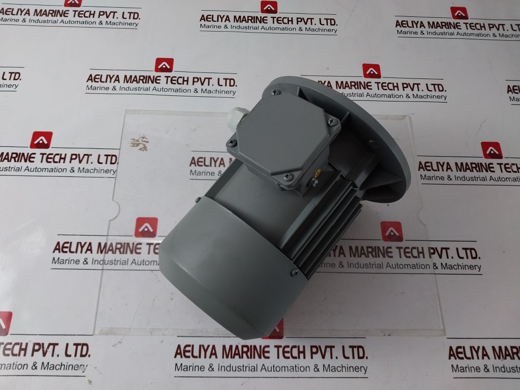 Cantoni Motor Mskh80B-4 Electric Motor