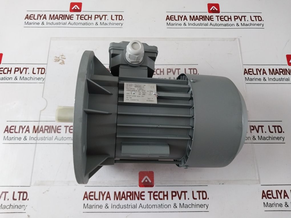 Cantoni Motor Mskh80B-4 Electric Motor