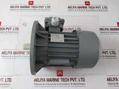 Cantoni Motor Mskh80B-4 Electric Motor
