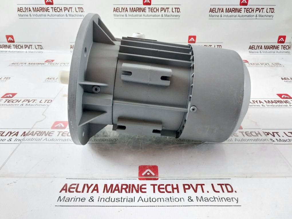 Cantoni Motor Mskh80B-4 Electric Motor