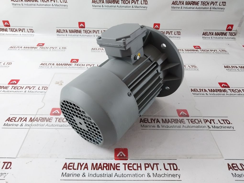 Cantoni Motor Mskh80B-4 Electric Motor