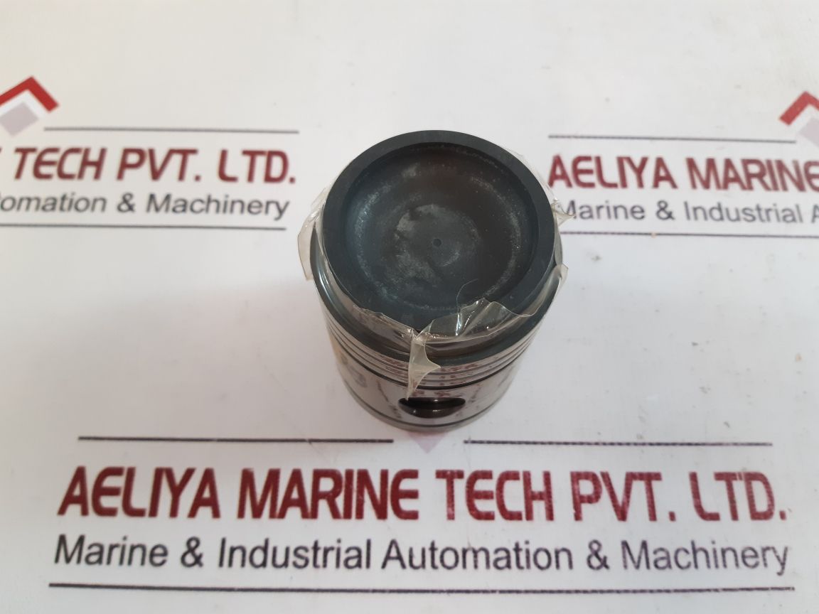 Carrier 5F20 482 Piston & Pin Pkg