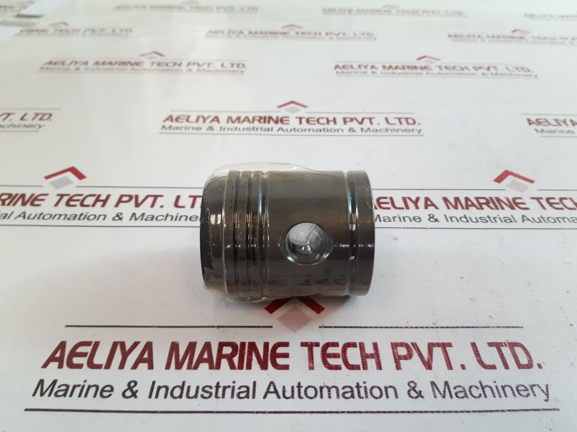 Carrier 5F20 482 Piston & Pin Pkg