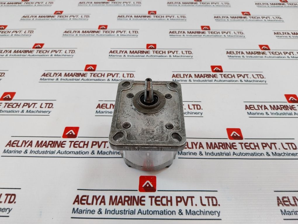 Casappa Plp10.2.5 D0-01E1-lbb/Ba-n-el Gear Pump