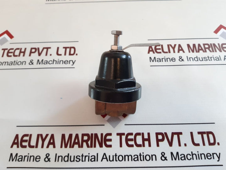 Cash Valve 1/4 Cp Differential Pressure Reducing Valve