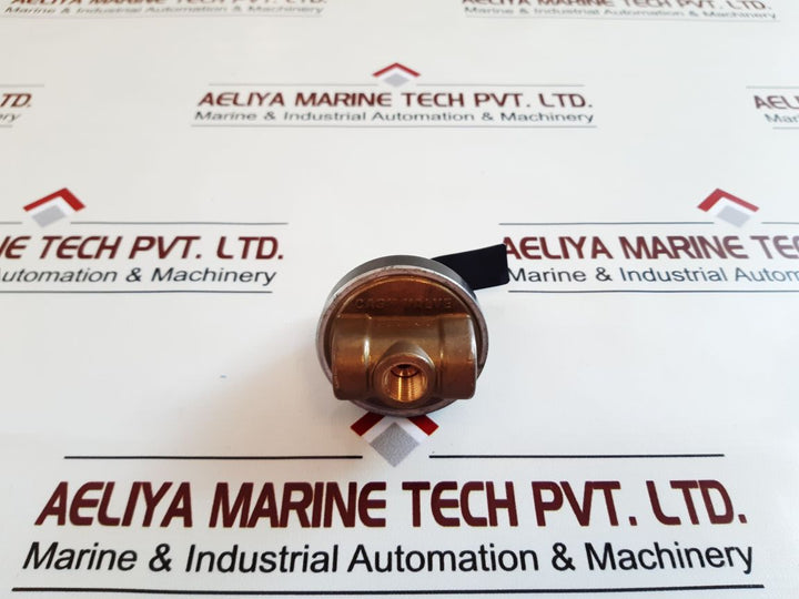 Cash Valve 1/4 Cp Differential Pressure Reducing Valve