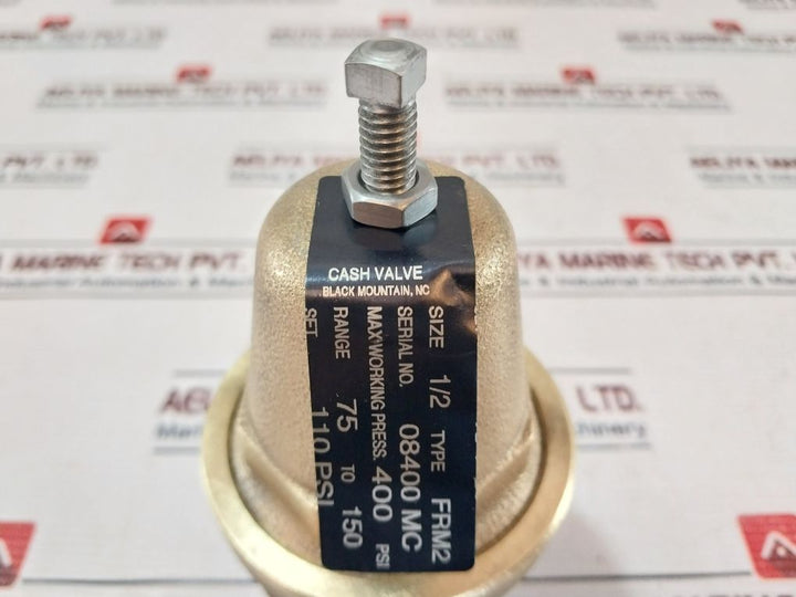 Cash Valve Frm2 Regulator Back Pressure Valve 0.5In X 0.5In