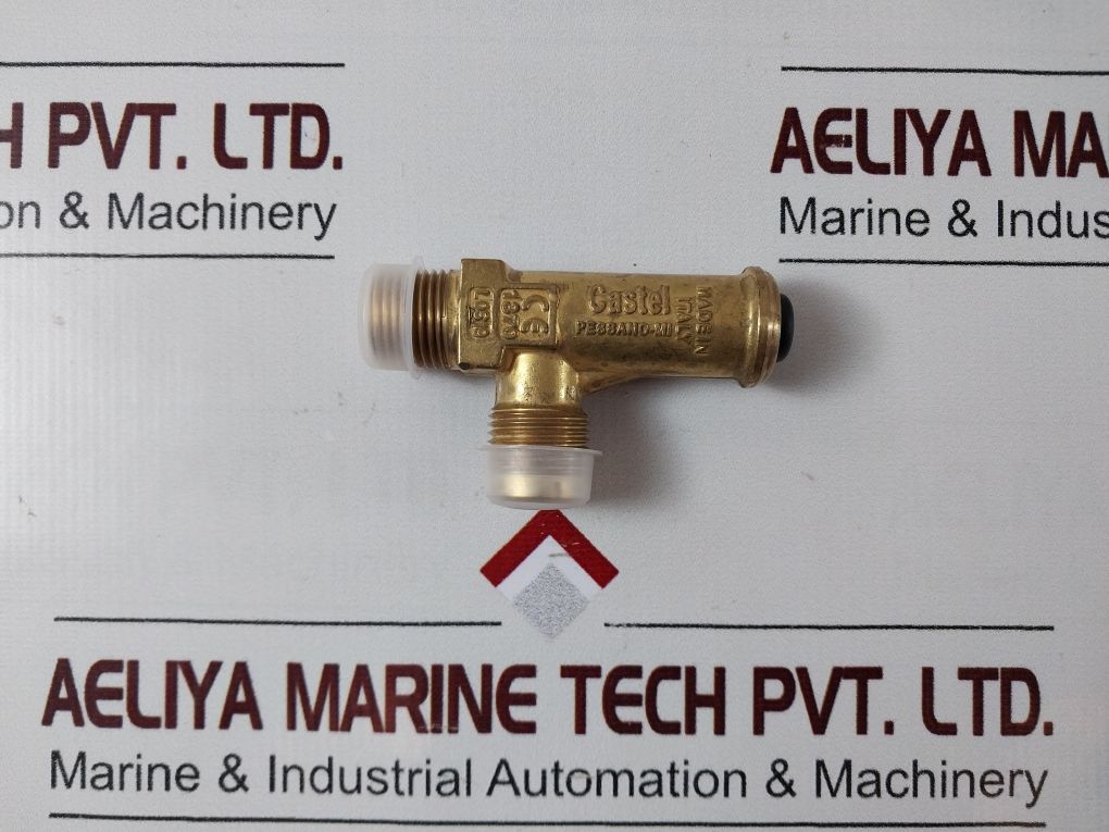 Castel 3060/45C240 Direct-loaded Safety Valve