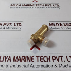 Castel 3060/45C240 Direct-loaded Safety Valve
