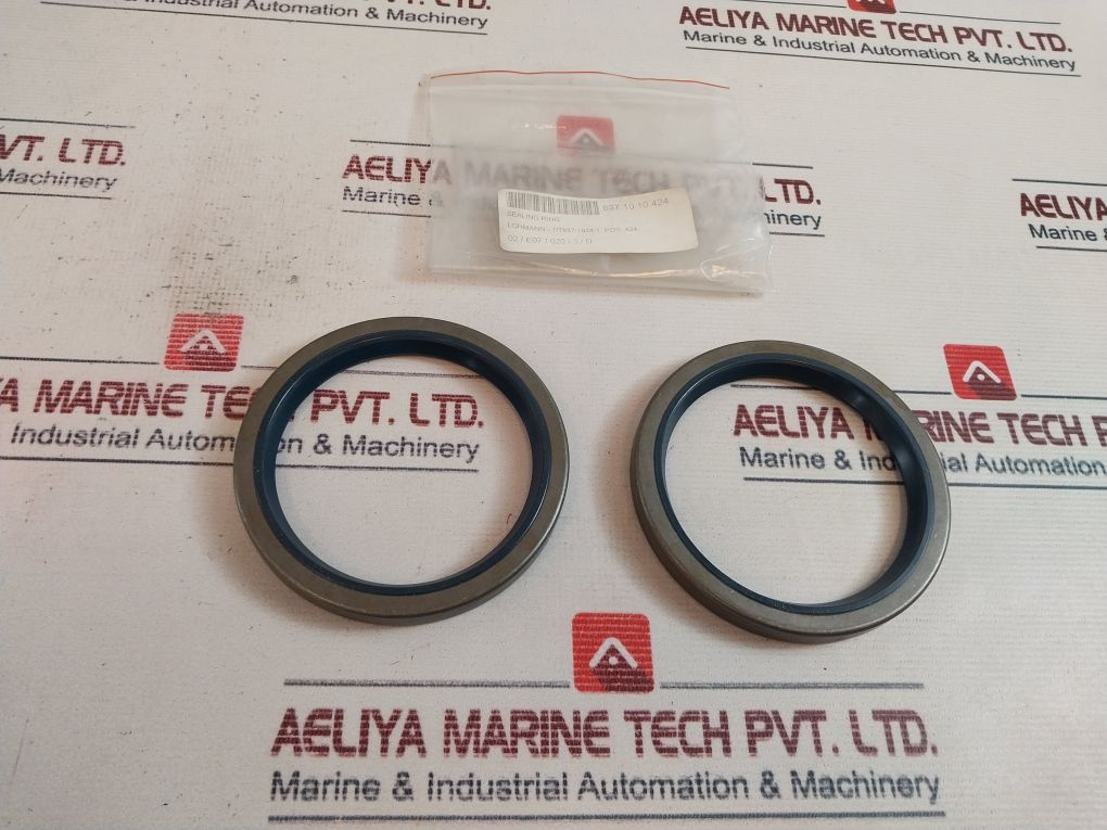 Cfw Fud5 100-125 Sealing Ring
